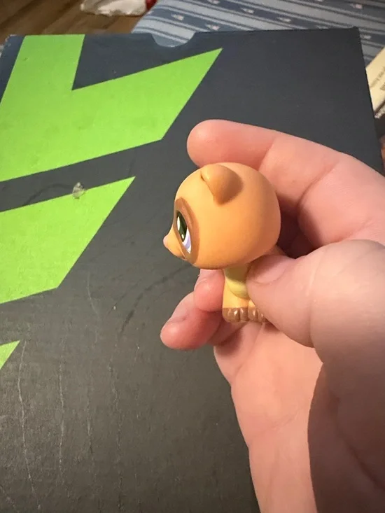 Ferret lps - Picture 4 of 4